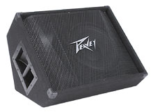 Peavey():PV 12M Floor Monitor